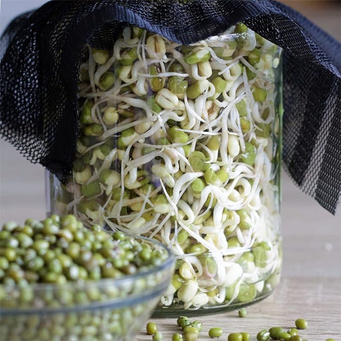 Todd's Seeds Protein Bean Sprouting Seed Mix; Green Pea, Mung Bean, Adzuki, Garbanzo, Non-GMO, Chemical Free, High Germination (1/4 Pound)