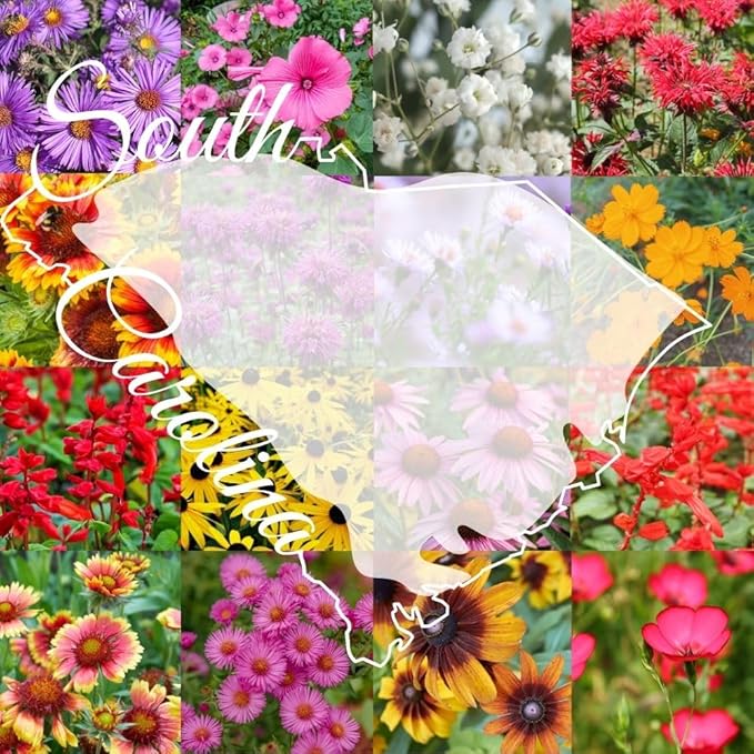 South Carolina Bulk Perennial Wildflower Seed Mix 1lb Covers 2,000sq-ft - Attract Pollinators, Multi-Color Blooms - Southeast US Species Plant in Spring/Fall, Earth-Friendly Packaging (1 Pound)