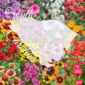 South Carolina Bulk Perennial Wildflower Seed Mix 1lb Covers 2,000sq-ft - Attract Pollinators, Multi-Color Blooms - Southeast US Species Plant in Spring/Fall, Earth-Friendly Packaging (1 Pound)