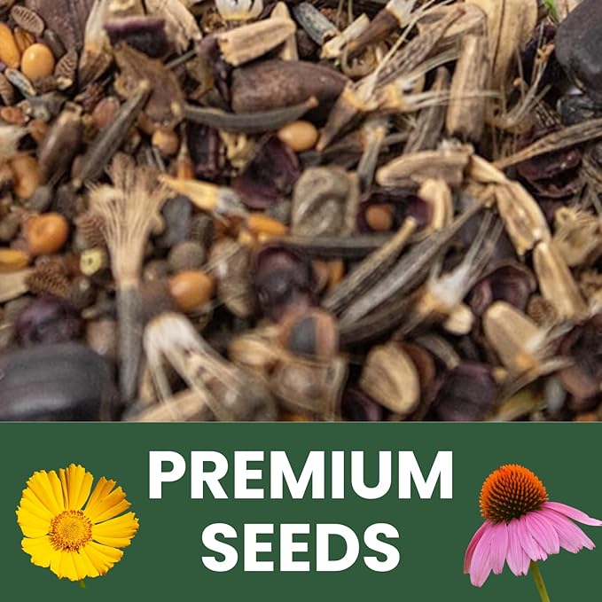 Bee Friendly Mix – 31,000 Seeds for Planting – 2026 Season – 4 Ounce Pouch