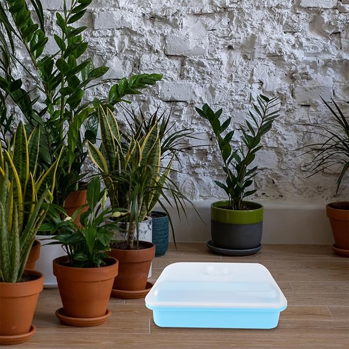 Vegetable Seedling Starter Trays with Lids, Cell Starter and Germination Trays Set for Indoor Gardening, Humidity Dome Covered Blue and Pink Nursery Pots for Plant Growth
