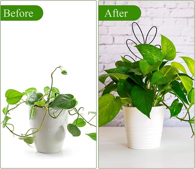 Tosnail 6 Pack 12" Tall Metal Plant Trellis for Potted Plants, Wire Plant Stakes, Small Garden Trellis, Cute Leaf Shaped Plant Support for Houseplant Home Climbing Plants Indoor Outdoor