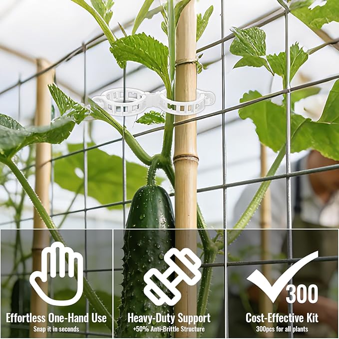 300Pcs Thickened Tomato Clips, Plastic Trellis Clips for Grape Vine, Tomato Vine, Vegetable Plants, Plant Support Clips to Help Plants Grow Upright & Healthier