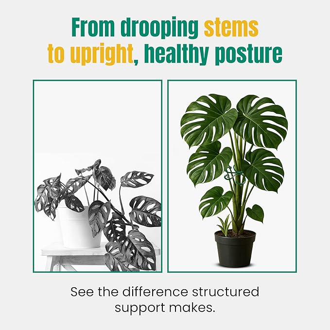6 Pack Metal Plant Stem Supports for Indoor Plants (Green) - Houseplant Climbing Stem Supports and Stabilizer for Outdoor Plants