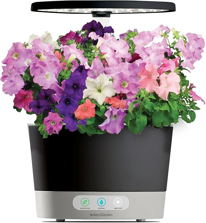 AeroGarden Cascading Petunias Seed pod Kit for AeroGarden Hydroponic Indoor Garden, 6-Pod