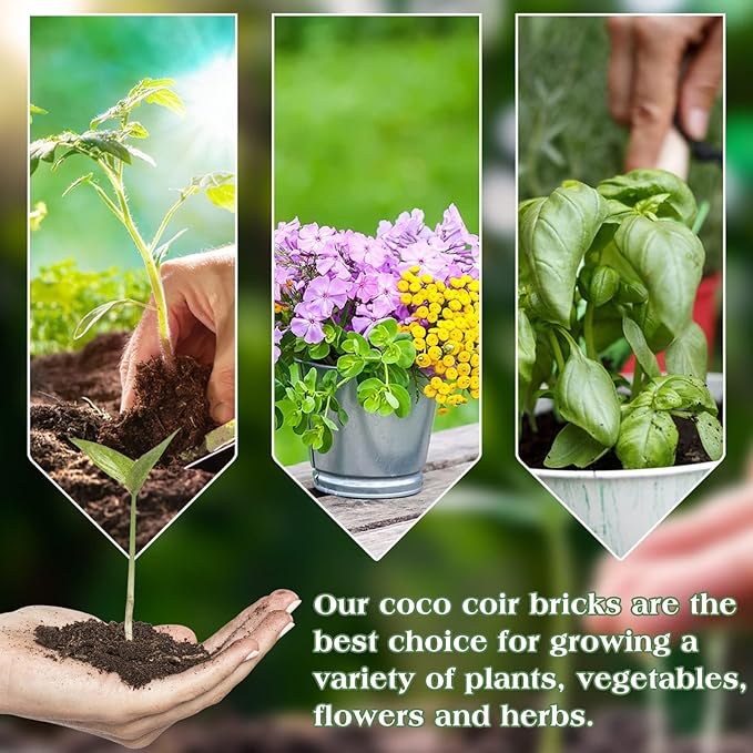 Halatool 6 Pcs Organic Coconut Coir Bricks for Plants, Compressed Coco Coir Brick Coconut Fiber Substrate with Low EC & pH Balance, High Expansion Coco Peat Seed Starter Garden Soil for Planting