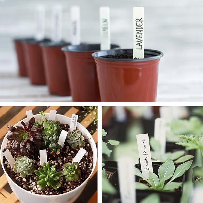 1000 PCS Plastic Plant Labels for Seeding Plant Tags for Outdoor Garden, Waterproof Labels for Pot Garden Stake (White)