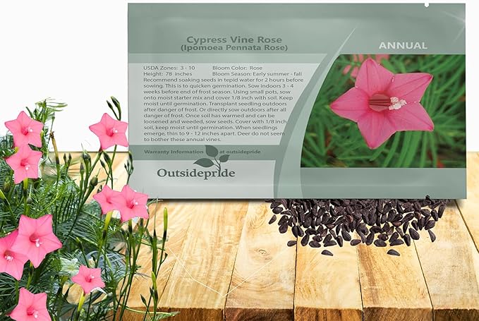 Outsidepride Rose Cypress Vine Seeds - 200 Pcs Annual Flower Seeds with Nectar-Rich, Star-Shaped Flowers & Feathery, Fern-Like Leaves for Fences, Trellises, Pergolas & Vertical Gardens