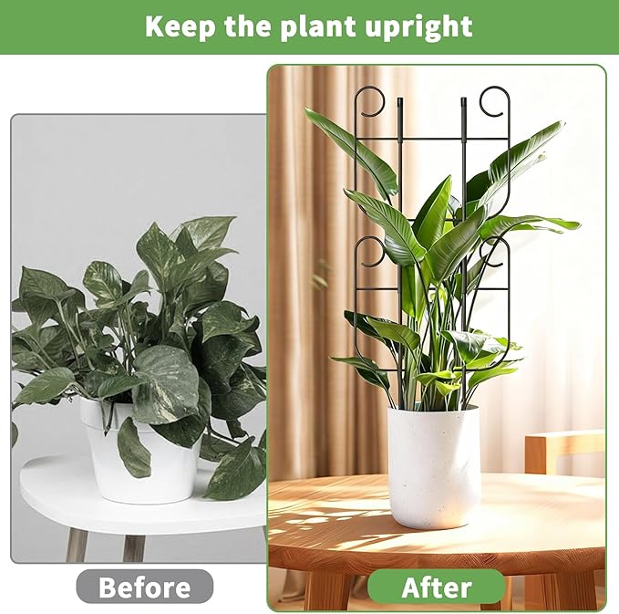 2 Pack Trellis for Climbing Plants Indoor, Expandable Small Metal Trellis for Potted Plants, Flowers Vine Ivy, Sturdy Houseplant Pothos Plant Climber Support