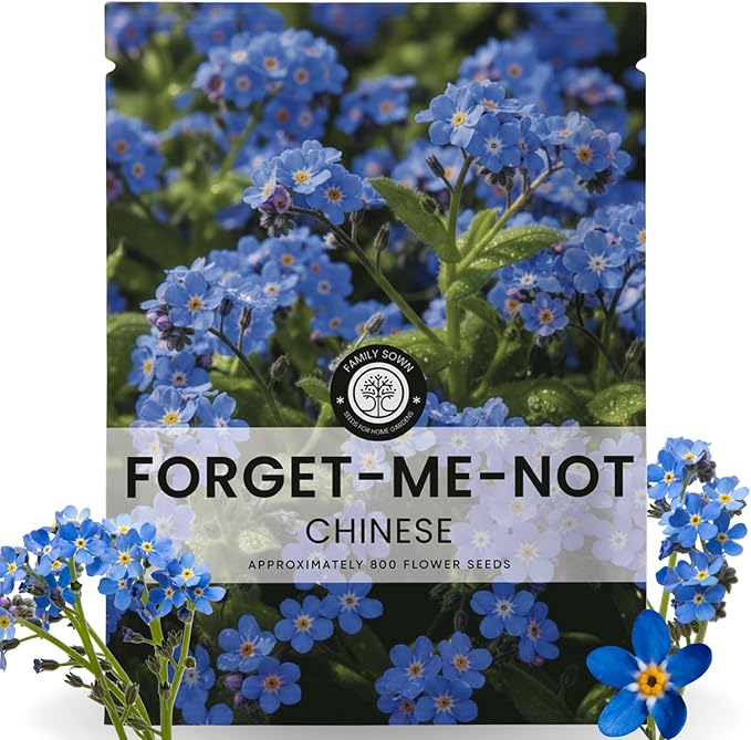 Chinese Forget Me Not – 800 Seeds for Planting – 2026 Season – 5 Grams