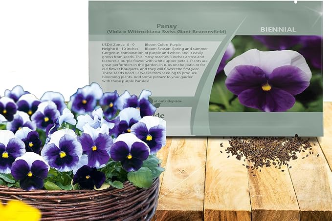 Outsidepride Purple & White Bicolor Beaconsfield Viola Pansy Seeds for Planting - 2,000 Pcs. Cold-Hardy & Pollinator Friendly Flowers with Fragrant Blooms for Garden Beds, Borders & Container Displays