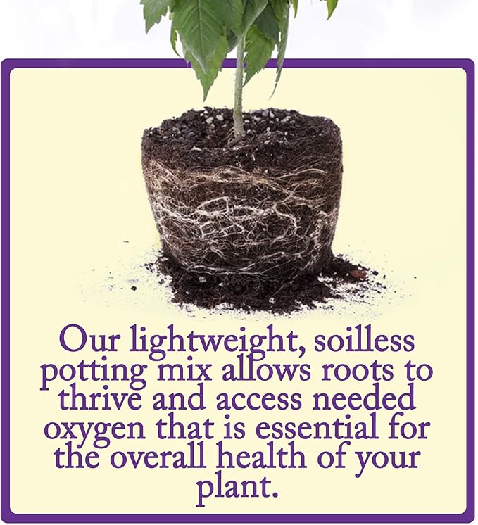 Esbenshade's Professional Lightweight Potting Mix, 44 Quart Bag - Soilless Blend for Indoor/Outdoor Plants - Raised Beds & Containers - Peat Moss, Perlite, Bark, Lime
