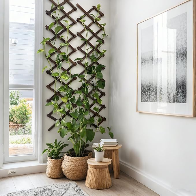 Expandable Garden Trellis, Wooden Lattice Wall Fence Trellis for Climbing Plants Ivy Vine Rose Clematis 13" x 68" for Outdoor Garden Patio Room Decor (1)