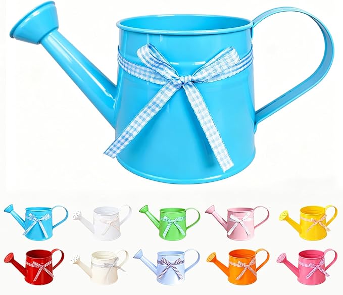 White Metal Watering Can 1 Gallon, Small Galvanized Steel Watering Can with Sprinkler Head for Indoor and Outdoor Plants, Vintage Decorative Gardening Tool (Blue)