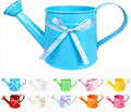 White Metal Watering Can 1 Gallon, Small Galvanized Steel Watering Can with Sprinkler Head for Indoor and Outdoor Plants, Vintage Decorative Gardening Tool (Blue)