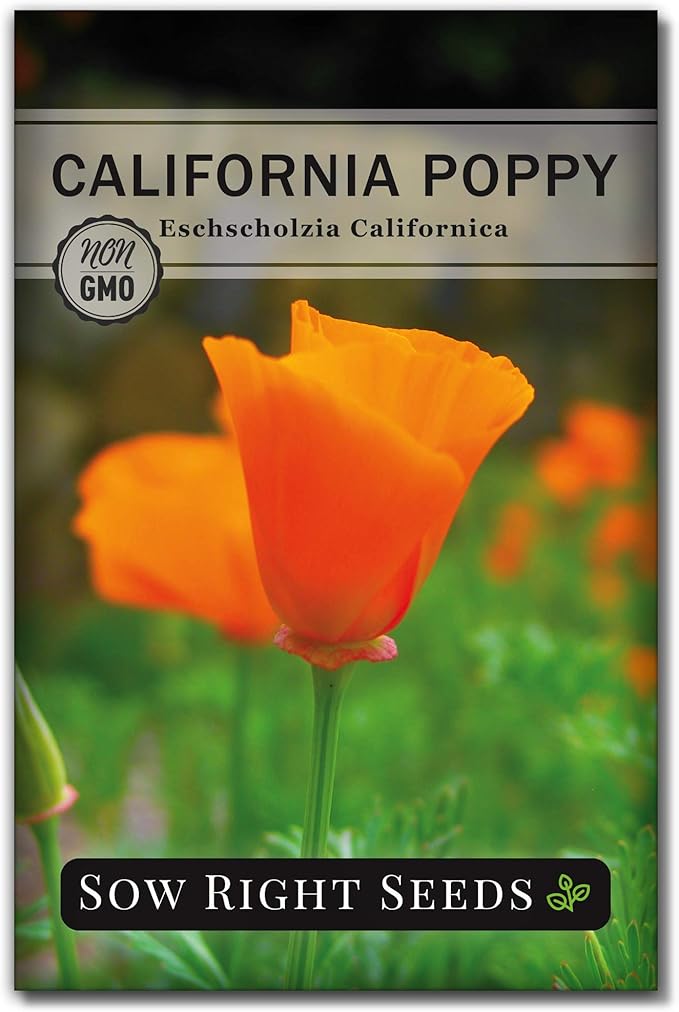 Sow Right Seeds - California Poppy Seeds for Planting - Non-GMO Heirloom Seed Packet with Instructions to Grow a Beautiful Flower Garden - Papery Orange Blooms for Outdoors - Self Sowing Perennial (1)
