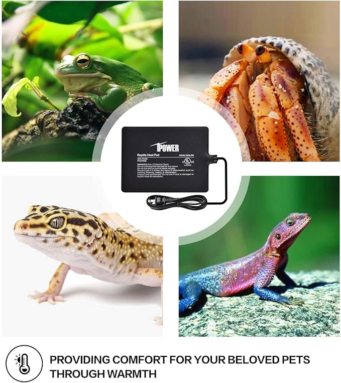 iPower Reptile Heat Pad 6X8 Inch 8W Under Tank Terrarium Warmer Heating Mat for for Turtle, Lizard, Frog, Snake, Reptile, and Other Small Animals