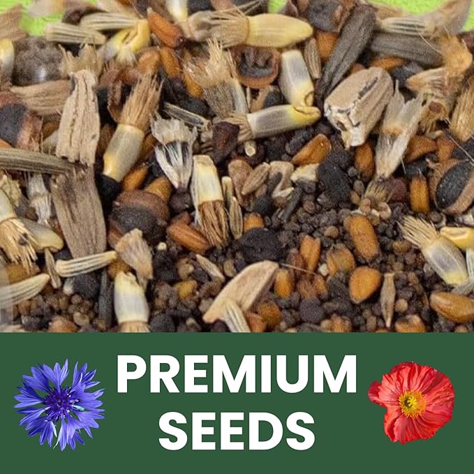 Northeast Natives Mix – 3,000 Seeds for Planting – 2026 Season – 5 Gram Pouch