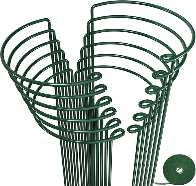 AMAGABELI GARDEN & HOME 12 Pack Plant Support Stakes 10" W x 15.8" H Heavy Duty Half Round Peony Cage Metal Garden Support Structures Plant Cage with Ties for Indoor Flower Tomato Hydrangea Monstera