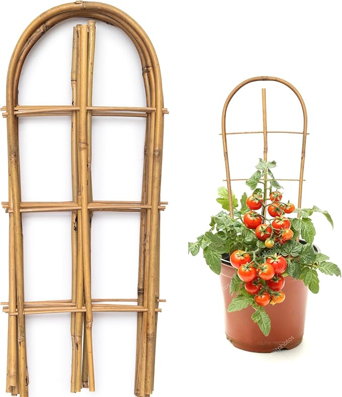 SWANGSA 10 Pack Bamboo Trellis for Climbing Plants, 16" U-Shape Bamboo Plant Trellis, Garden Trellis for Climbing Plants, Outdoor and Indoor Potted Plants, House Plants