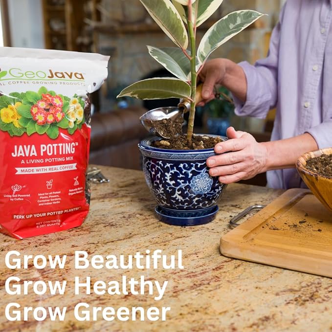 Java Potting Soil: A Well Draining, Coffee‑Infused Living Indoor Mix Ready to Grow. for All Monstera, Calathea, Fiddle Leaf Fig, ZZ, Snake, Spider and Pothos Plants; with Chunky Vermiculite. 6 (QT)
