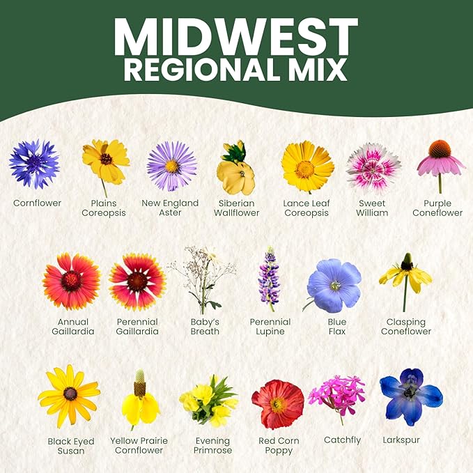 Midwest Regional Mix – 2,500 Seeds for Planting – 2026 Season – 5 Gram Pouch