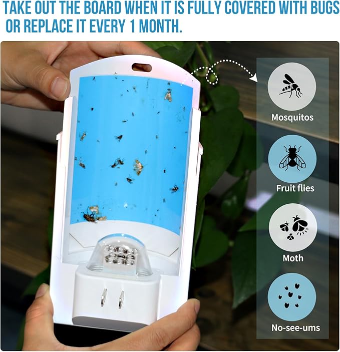 10 Trap Refills, Flying Insect Trap Refill Kit NO Device - 10 Pcs Glue Cards, Each Glue Card Lasts up to 35-Days or Until Full Flying Insect Trap (10 Refills)
