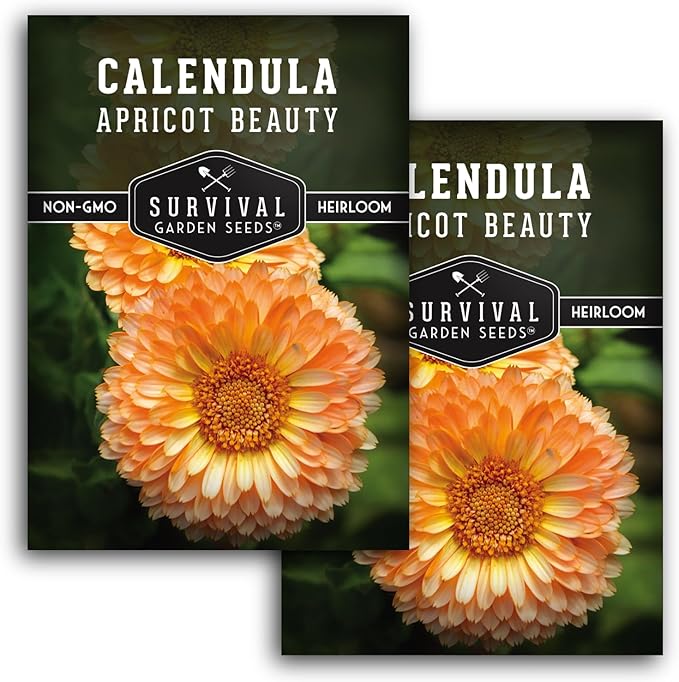 Apricot Beauty Calendula Seeds for Planting – Heirloom Flower with Soft Peach & Pastel Blooms – Edible Flowers, Medicinal Pot Marigold – Survival Garden Seeds (2 Packs)
