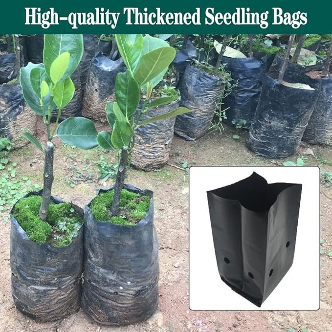 DredQcco 100PACK Plant Grow Bags,Thicken PE Seedling Bag Fruit Tree Seedling Cup Bonsai Planting Bag with Breathable Holes for Garden Black Planting Bags Nursery Bags (4.7'' Dia x 8'' H)
