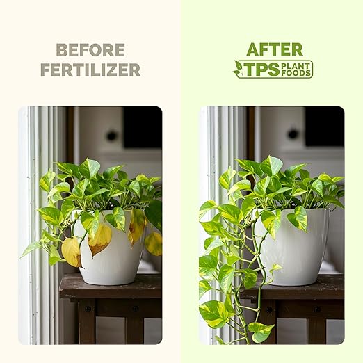 TPS NUTRIENTS Pothos Fertilizer for All Pothos Plants and Vines, Liquid Plant Food, 32 oz (1 Quart)