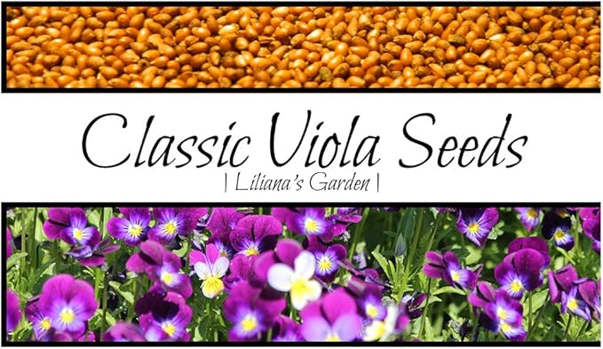 Viola Seeds – Classic Viola Colors aka “Johnny-Jump-Up” - Annual Heirloom Flower Seeds| Heirloom Seeds By Liliana's Garden |