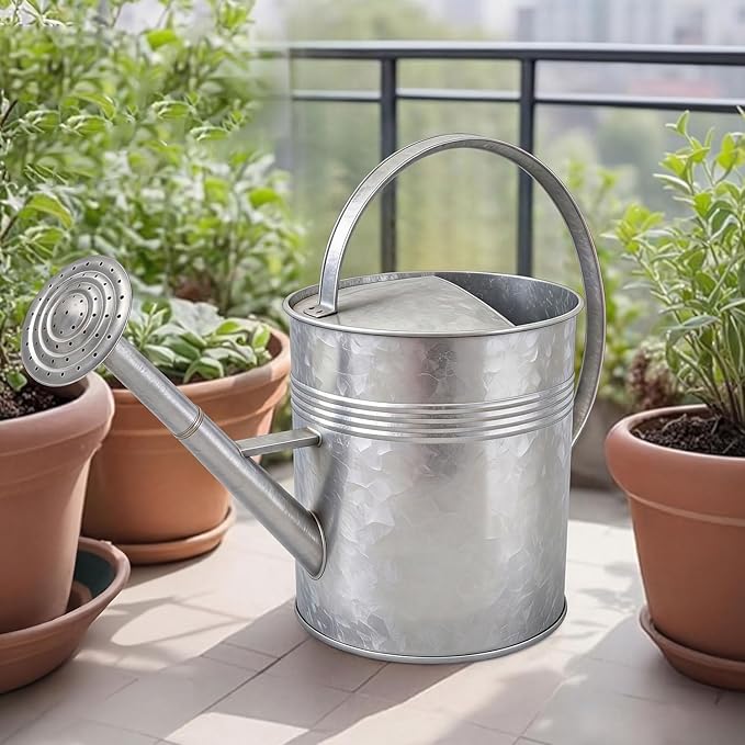 9.5L Metal Watering Can for Outdoor Garden, Galvanized Steel Large Watering Pot with Top Handle and Long Spout, Rust-Resistant Water Can for Flowers, Lawns, and Farm Use