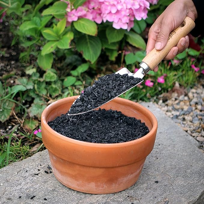 Horticultural Charcoal for Plants 2 qt, All Natural Hardwood Charcoal, Activated Charcoal for Soil Amendment, Orchids, Terrariums, and Gardening