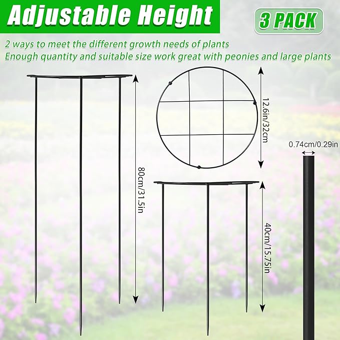 3 Pcs 31.5"H x 12.6"D Peony Cages and Supports, Large Grow Through Plant Support Cage for Outdoor Plants, 7mm Heavy Duty Metal Peony Support Grid Stake Garden Plant Rings Hoops for Large Peonies Roses