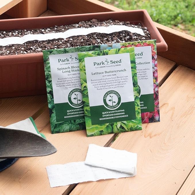 Park Seed Sow Effortless Collection Seed Tape – Cat Grass, 15 Feet – Easy DIY Planting for Pets or Windowsill Decor, Quick-Growing Barley Grass, No Thinning or Measuring Required, Ready in 7 Days