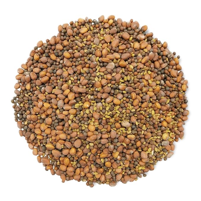 Food to Live Organic Spicy Mix of Sprouting Seeds, 3 Pounds — Non-GMO Broccoli, Radish, Alfalfa, Raw, Rich Germination Rate, Non-Irradiated, Pure, Kosher, Vegan Superfood, Bulk, Rich in Sulforaphane