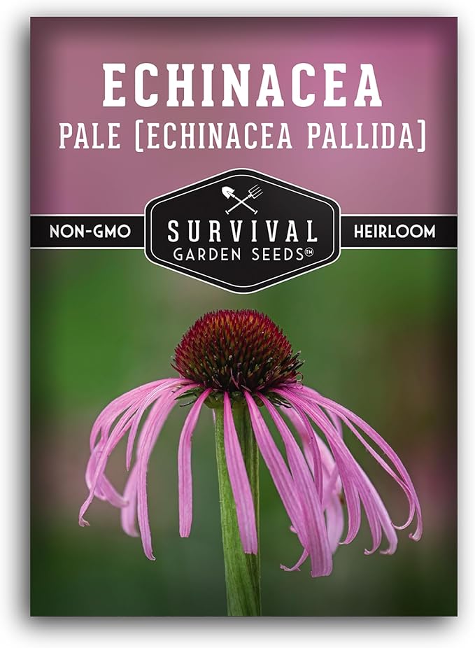 Survival Garden Seeds Pale Purple Coneflower Seeds for Planting - 1 Packet with Instructions for Growing Lavender-Pink Echinacea Pallida in Your Flower Garden - Non-GMO Heirloom Native Wildflower