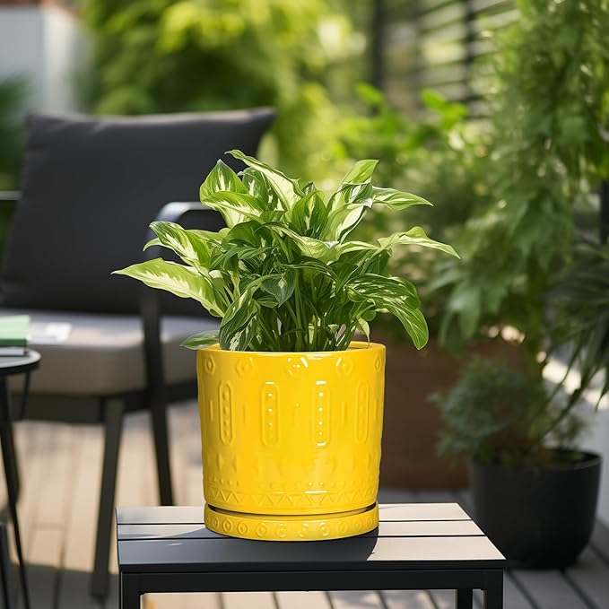 Eightpot Ceramic Pots for Plants, 10 Inch Plant Pot with Drainage Holes and Tray, Round Planter for Indoor Outdoor Plants, Modern Decorative Flower Pots, Office Decor, Birthday Gift for Women, Yellow