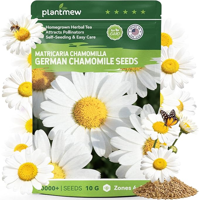 German Chamomile Seeds for Planting - 10,000+ Non-GMO Heirloom Seeds (Matricaria chamomilla), Homegrown Herbal Tea, Attracts Pollinators, Self-Seeding, USDA Zones 4-9, Medicinal Herb