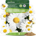 German Chamomile Seeds for Planting - 10,000+ Non-GMO Heirloom Seeds (Matricaria chamomilla), Homegrown Herbal Tea, Attracts Pollinators, Self-Seeding, USDA Zones 4-9, Medicinal Herb