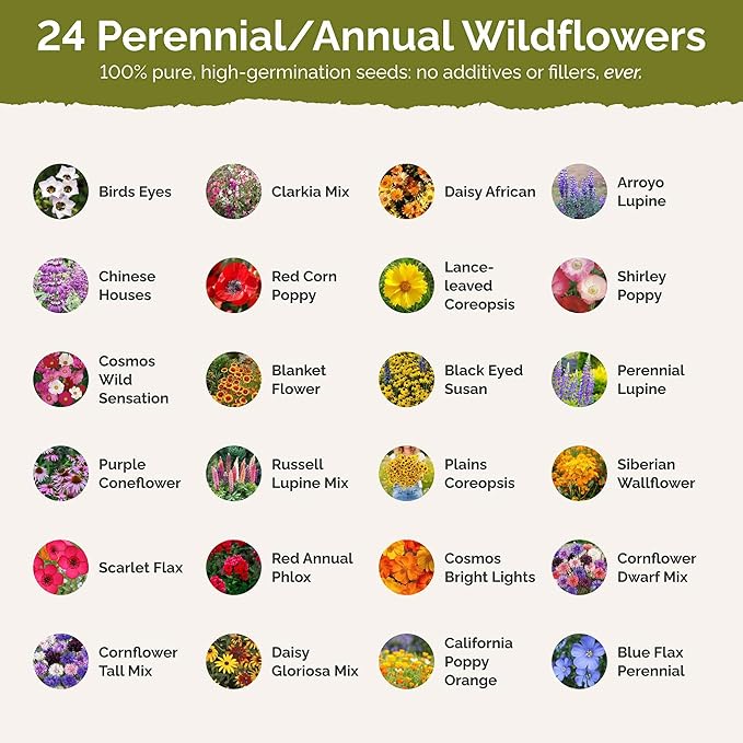 Eden Brothers Southwest Wildflower Mixed Seeds for Planting, 50 lb, 24,000,000+ Seeds with Cornflower, Blanket Flower | Attracts Pollinators, Plant in Spring or Fall, Zones 3, 4, 5, 6, 7, 8, 9, 10