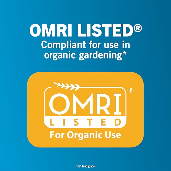 Safer Home Diatomaceous Earth 4 lb Organic OMRI DE - Cockroach Killer Indoor Home, Bed Bug Killer, Kills Fleas, Ants, Silverfish, Earwigs & Crawling Insects