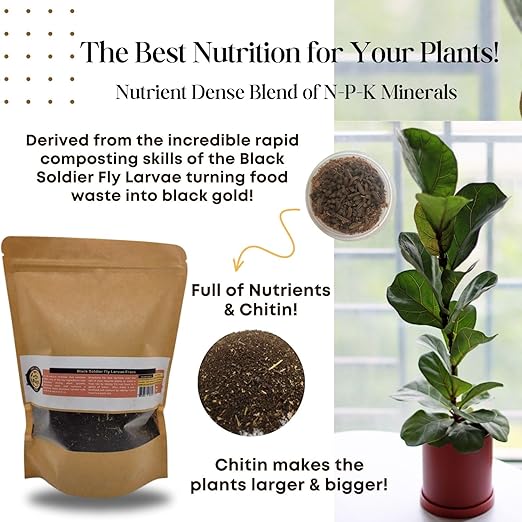 SCOTTY'S BUGS BSFL Insect Frass Organic Fertilizer, All-Purpose Plant Food for Houseplants, Gardens, Indoor Plants, Lawns, Vegetables, NPK 3-1-2, 8oz Pack