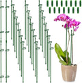 Coloch 48 Pack Plant Support Stakes, 11 Inch&17 Inch Height Adjustable Garden Plant Stake Orchid Sticks with 48 Clips and 24 Links Potted Plant Support for Orchid, Amaryllis, Tomato, Indoor&Outdoor