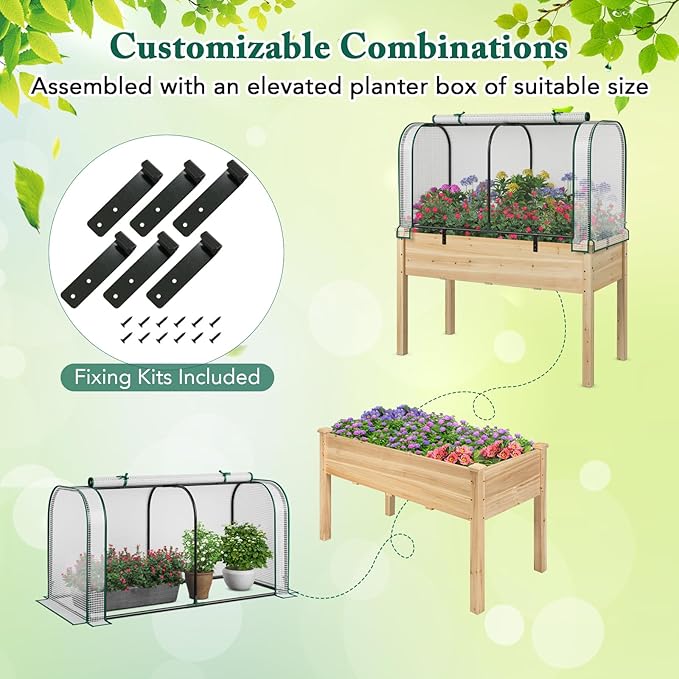 Raised Garden Bed with Greenhouse, Waterproof Sun-Protective Green House with Roll-Up Door & Electroplated Metal Frame, Pine Wood Elevated Planter Box with Drainage Holes(White+Natural)