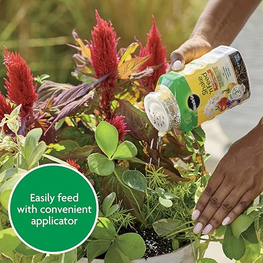 Miracle-Gro Shake 'N Feed All Purpose Plant Food,for In-Ground and Container Plants,Feeds for up to 3 Months,1 lb.,(Pack of 6)