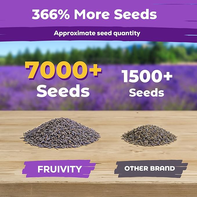 7,000+ Lavender Seeds Large Non GMO 3/4 Ounce Packet English Lavender Seeds- Heirloom Seeds Lavandula Angustifolia Wildflower Seed for Planting Indoor/Outdoor, High Germination