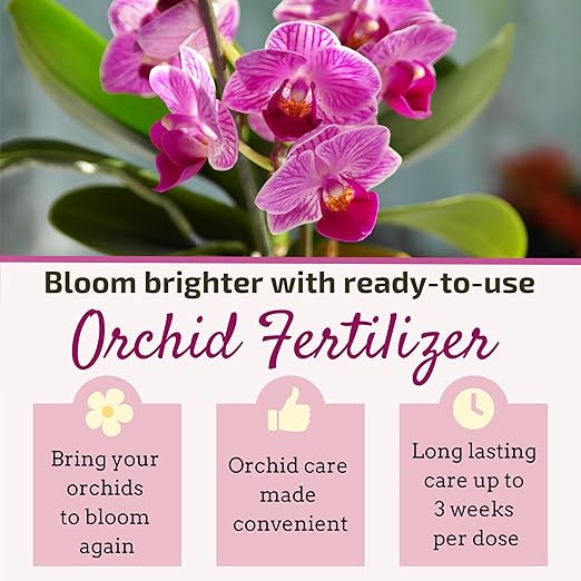 Liquid Orchid Fertilizer Spikes | Ready-to-Use Orchid Food for Blooming, Fertilizer for Orchids (8 Drip Feeders)