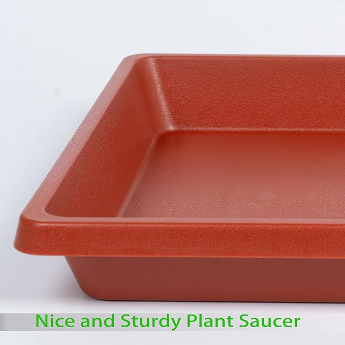 Plant Saucer 12 Inch Square 4 Pack, Plastic Plant Drip Trays, Plant Saucers for Indoors and Outdoors, Flower Pot Saucers, Saucers for Potted Plants, Planter Saucer, Plant Water Catcher Trays for Pots