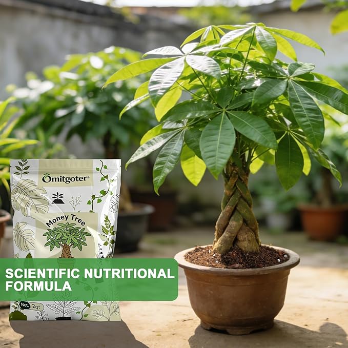 All-Natural Money Tree Soil & Indoor Potting Mix 10QT - Drainage-Enhanced Plant Soil for Healthy Indoor Plants